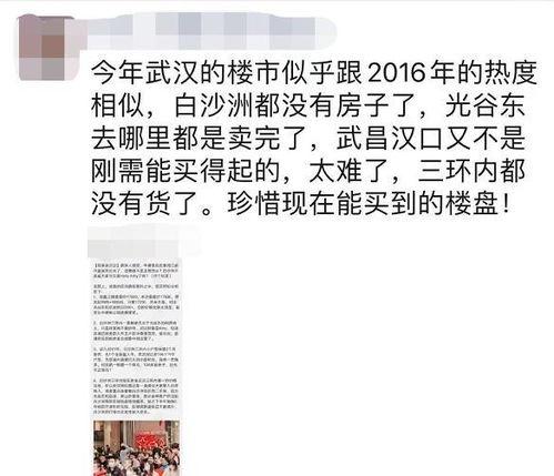 武汉房市爆料最新消息,价格波动与政策动向一览  第2张