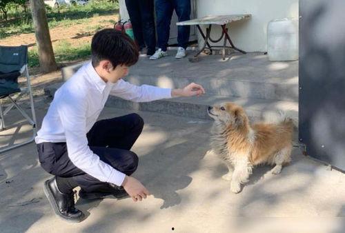 王源娱乐圈最新爆料事件,最新爆料事件引发热议 第3张 王源娱乐圈最新爆料事件,最新爆料事件引发热议 第3张