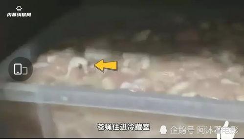 陆丰华莱士最新爆料 第3张 陆丰华莱士最新爆料 第3张