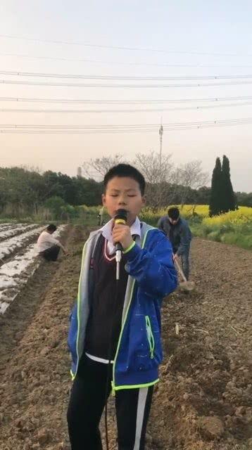 菜棚哥最新爆料,最新爆料背后的惊人真相