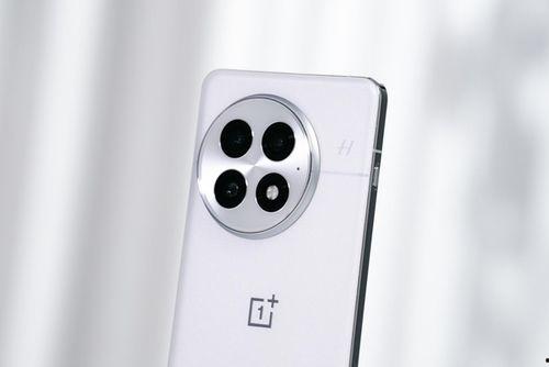 一加13官方最新爆料价格,价格揭晓，性能与颜值并存！”