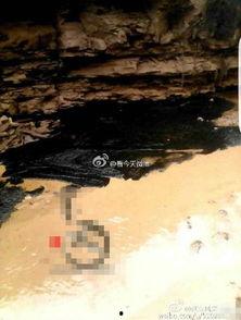 延安油田最新爆料,揭秘最新勘探成果与未来展望 第3张 延安油田最新爆料,揭秘最新勘探成果与未来展望 第3张