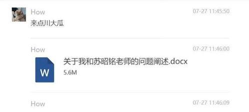 川大女博士爆料视频最新,揭露学术圈潜规则与黑暗面”  第2张