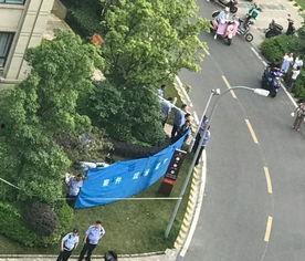 常州新北区最新爆料,揭秘区域发展新动向与未来蓝图  第2张