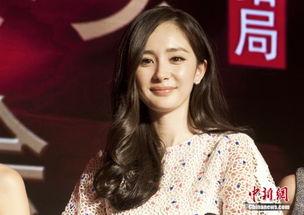 杨幂陈学冬最新爆料视频,揭秘娱乐圈不为人知的秘密  第3张