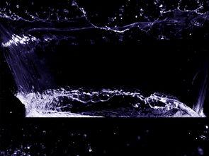 最新水花爆料视频下载,独家内容抢先看！  第2张