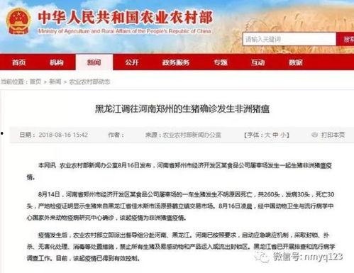 河南的爆料新闻最新消息,揭秘某重大事件背后真相  第2张