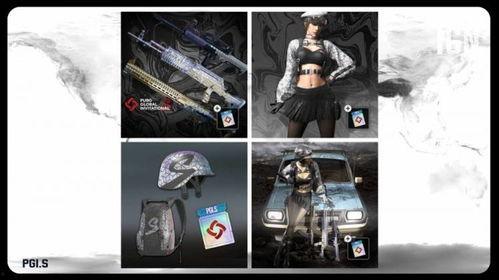 pubg爆料最新衣服,PUBG最新爆料！全新服装设计惊艳亮相  第3张