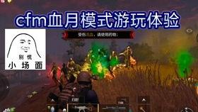 泷战视频最新爆料,揭秘幕后真相，带你走进神秘世界  第2张